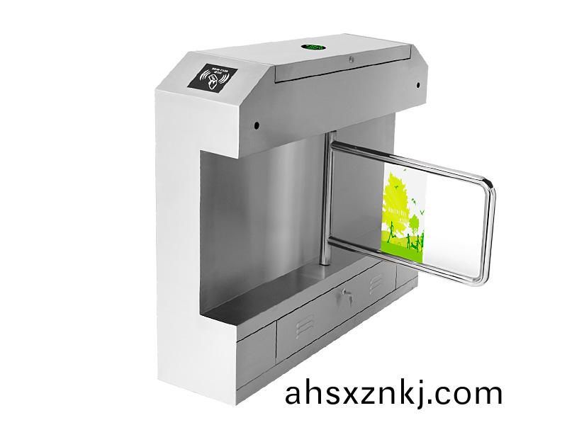 B202橋式(shi)斜角擺(bai)閘(zha)