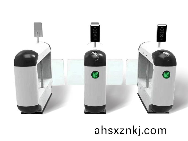 B207熊(xiong)貓卡通擺(bai)閘