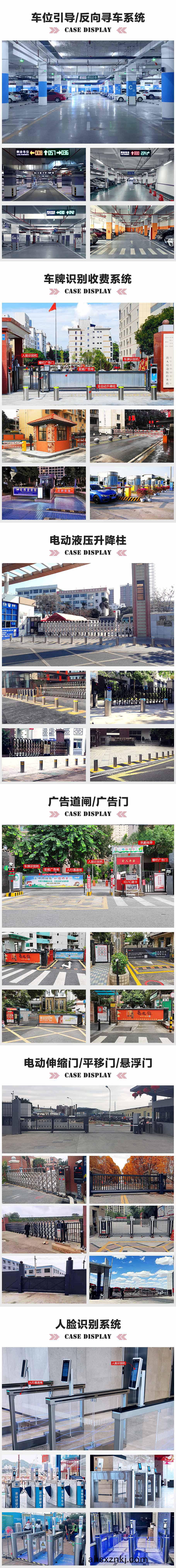 中(zhong)山某公(gong)園停(ting)車(che)場視頻(pin)車(che)位引導係統(tong)