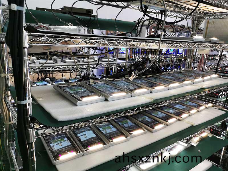 62ef2b442abc9.jpg 11.jpg